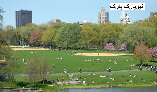 نیویارک کے مشہور سیاحتی مقام مرکزی پارک میں دھماکے، ایک شخص شدید زخمی